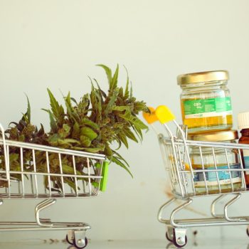 cannabis-novas-regras