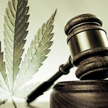 regulacao-cannabis